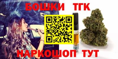 тгк Новодвинск