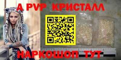 тгк Новодвинск