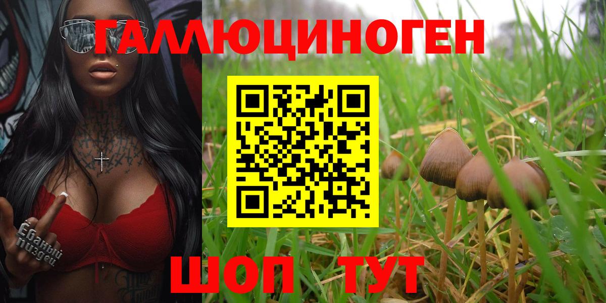Верхняя Пышма  Галлюциногенные грибы Magic Shrooms  Вход с VPN 